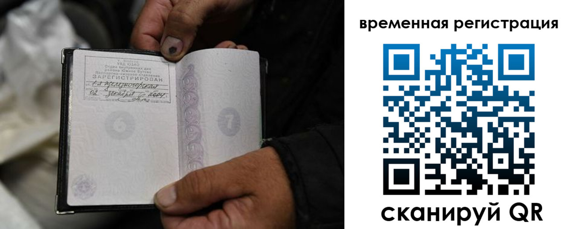 прописка поиск в Ермолино